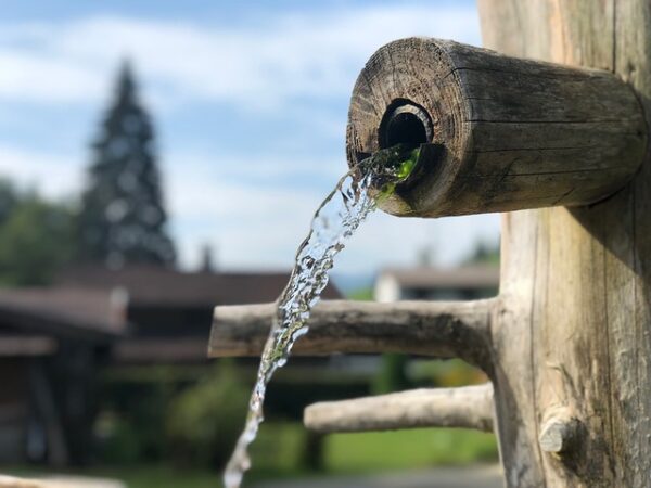 voda v záhrade