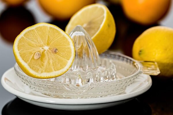 lis na citrusy
