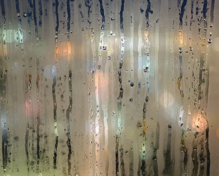 rosenie skiel v aute