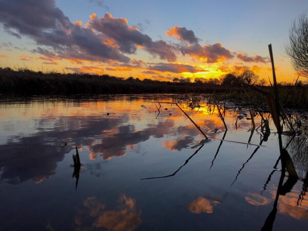 jazero ryby